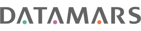 DATAMARS FRANCE Retina Logo
